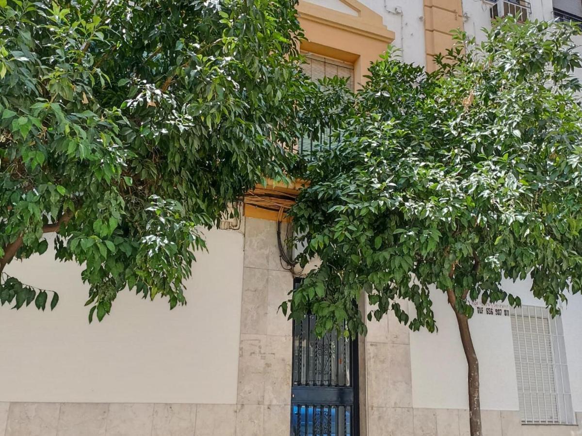 Modernos Apartamentos En Ciudad Jardin Cordoba Dış mekan fotoğraf